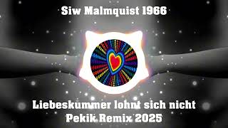 Siw Malmquist - Liebeskummer lohnt sich nicht my Darling Remake 2025