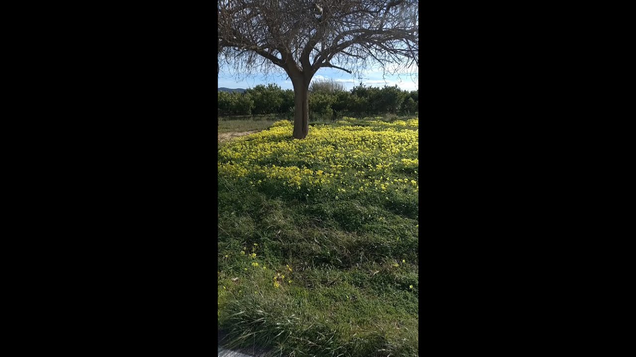 Acompáñame a disfrutar de este paisaje