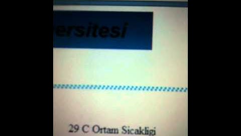 Sezgin Kaplan Capstone Project Bahçeşehir