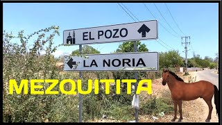 MEZQUITITA DE IMALA CULIACAN SINALOA MEXICO