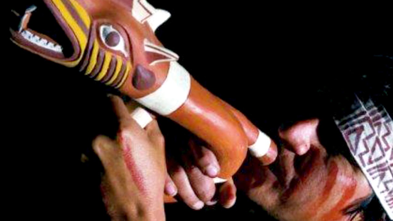 Norte Fijo. Jimbo feat Holistico video phone beyonce mp3