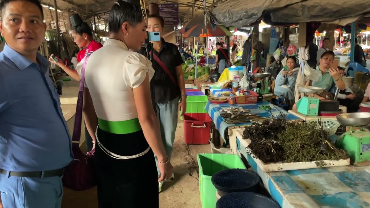 Lò Điêu, Xuân Quý, Lò Thích Hát Tại Chợ Luang Namtha Cực Hay Và Hấp Dẫn