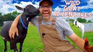 Meet the Coolest Creatures Ever! GOATS! (Educational Farm Fun For Kids)