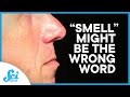 Understanding the Role of Smell in Human Interaction