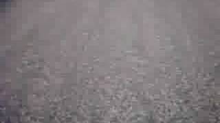 New Camera Test (ATC-2000)