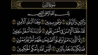 سورة التين لفضيلة الشيخ عبدالله الجهني #عبدالله_الجهني