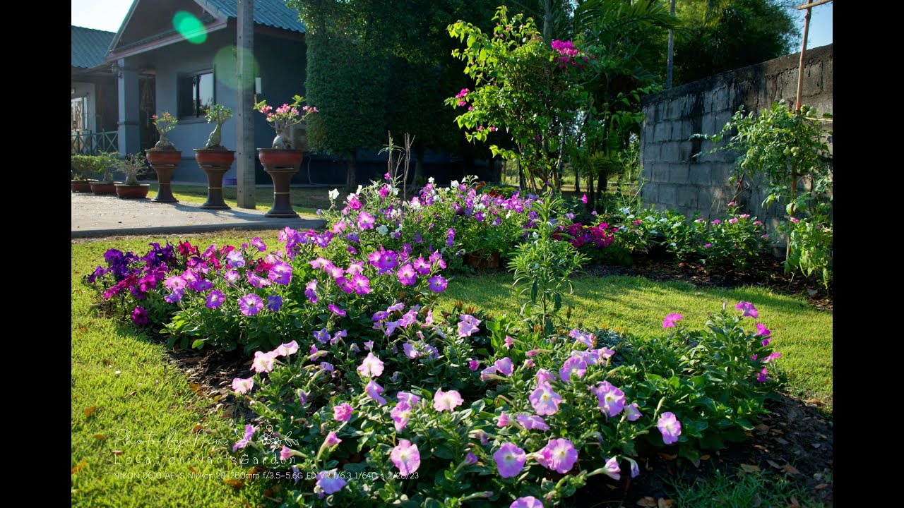 EP 54 # สวนต้นฤดูร้อน # เดือนมีนาคม