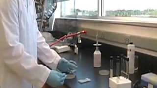 Lab Skills