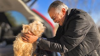 Perros Desconsolados En El Refugio Tras Fallecer Su Dueño En Accidente Doméstico