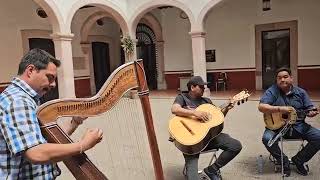 Disfruta de la magia musical! Mariachi Alma de Plata de Zacatecas ensayando una melodía encantadora