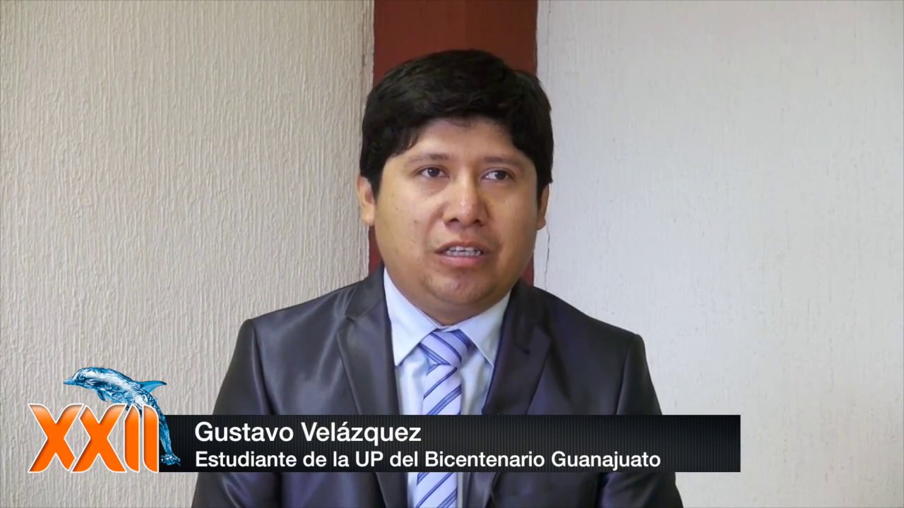 Ejemplo De Carta De Exposicion De Motivos Programa Delfin 