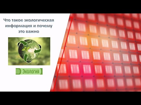 Что такое экологическая информация и почему это важно