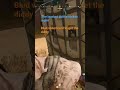 #codwz#warzone#codbo6#diddy#callofduty#callofdutywarzone#viralvideo#shortsviral#foryou#viral#like