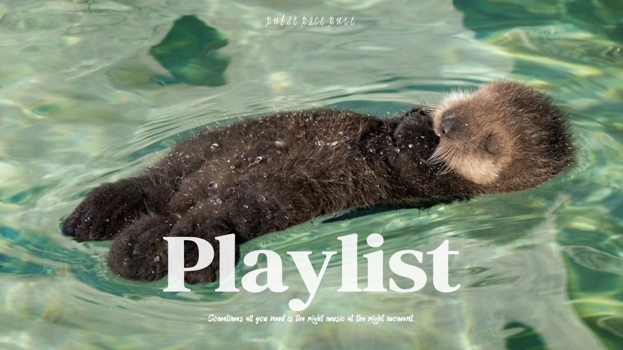 🎧 잔나비를 좋아하세요... 3초면 윤슬 맛집이되🌊✨ 카페 · 작업할 때 듣기 좋은 𝐏𝐥𝐚𝐲𝐥𝐢𝐬𝐭