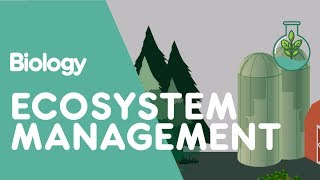 Ecosystem Management | Ecology & Environment | Biology | FuseSchool