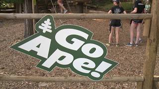 Go Ape