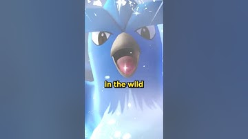 Rarest Wild Encounter in Pokémon History?