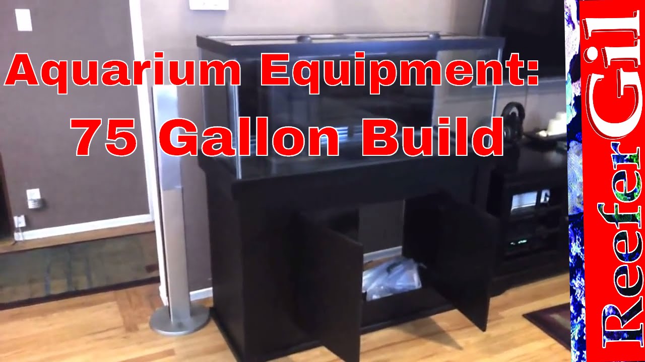 Beginner's Guide: Aquarium Equipment 75 Gallon Build 