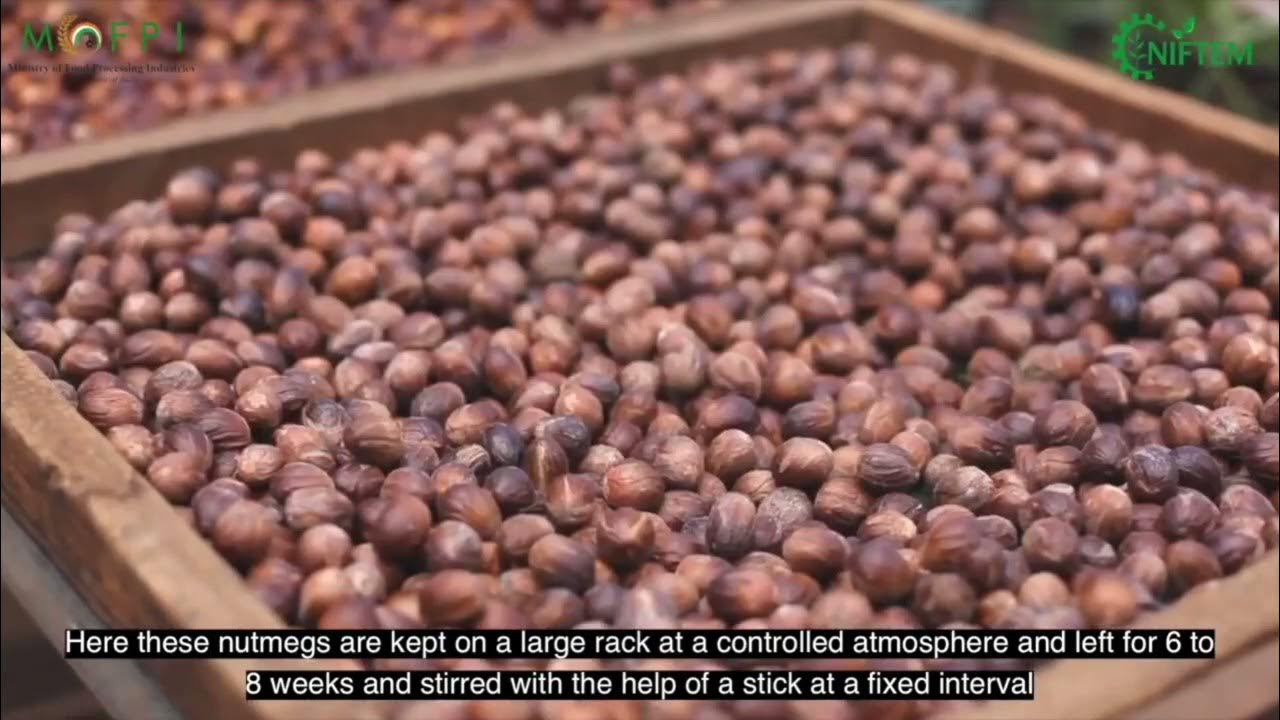 NUTMEG (MALAYALAM) I NIFTEM PMFME SCHEME YouTube