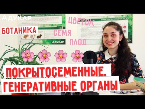 Покрытосеменные. Генеративные органы растений. Цветок, семя, плод | Биология ЦТ, ЕГЭ