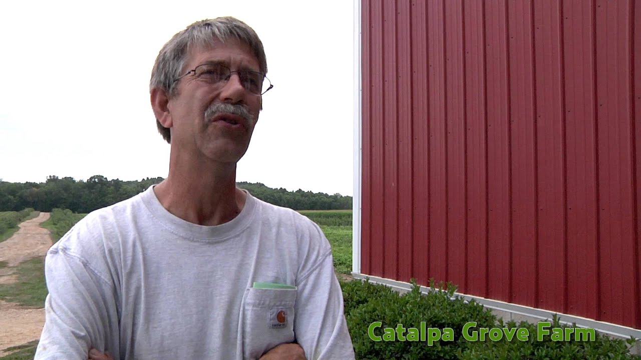 CATALPA GROVE FARM Columbiana Ohio YouTube