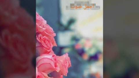 القارئ عمر البيتي