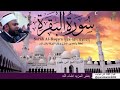 سورة البقرة الشيخ انس جلهوم مباشر من قناة نور الايمان المانيا Surah Al Baqara Quran Recitation