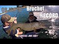Brochet record special pche au big bait technique materiel montage combat ferrage