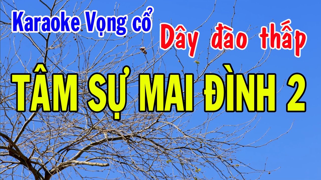 Karaoke vọng cổ TÂM SỰ MAI ĐÌNH 2  - DÂY ĐÀO THẤP