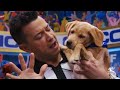 Fluffiest Flags & Fumbles 🚩 Puppy Bowl | Animal Planet