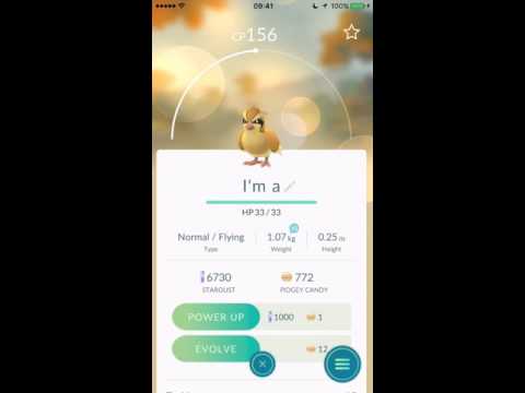 Even more Pidgey for Queen "Don't Stop Me Now" in Pokémon GO