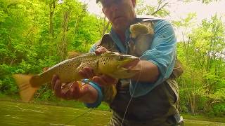 SPRING FLY FISHING-HIGH AND DRY with Chris Walklet
