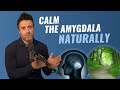 Improve Your Amygdala Health With This Simple Act Improve Your Amygdala Health With This Simple Act