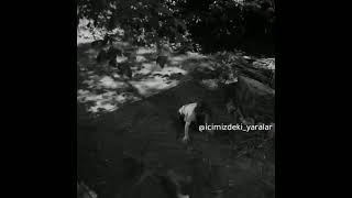 Eğer Bir Oğlan Danıştigi Giza Inanmirsa O Sevgi Değil Hevesti