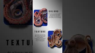 The Smartest Creature in the Ocean? Octopus Facts #OctopusFacts #DidYouKnow #AnimalFacts