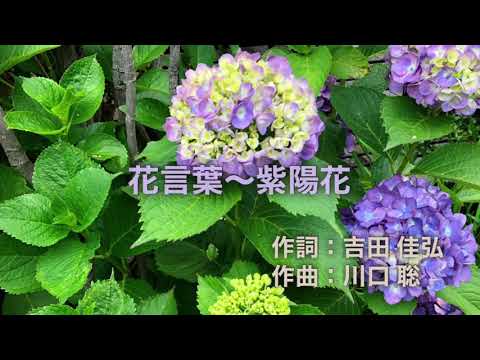 「花言葉〜紫陽花」（オリジナル）弾き語り