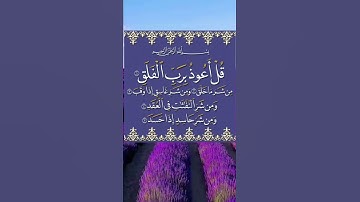 قل أعوذ برب الفلق 💜سورة الفلق حالات واتس اب دينية مؤثرة