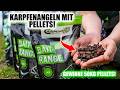 So angelst du mit Pellets auf Karpfen! | Pellet-Tutorial mit Carpline24