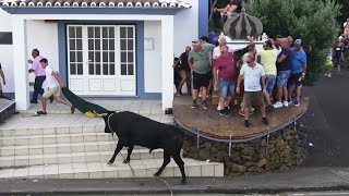 Ganadarias MR (7,61) &amp; EG (74,24) - Cruzeiro Agualva - (18Ago23) - Ilha Terceira - Açores