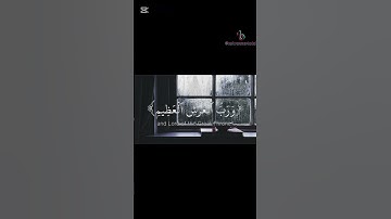 ترتيل الشيخ ياسر الدوسري /سورة المؤمنون/جمال وروعة الترتيل❤️‍🩹