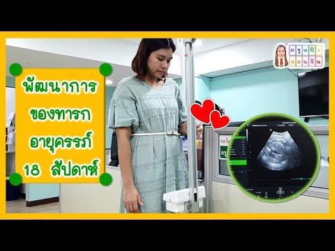 ครูแป้งสอนจีน | พัฒนาการของทารกอายุครรภ์ 18 สัปดาห์