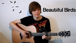 Passenger - Beautiful Birds | Instrumental Guitar Cover chords