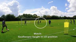 Goalkeeper Footwork & Shot stopping- Members only content, with Eric Steele