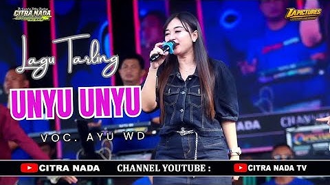 UNYU UNYU // CITRA NADA LIVE DESA SINDANGJAYA // KEC.KERSANA - KAB.BREBES