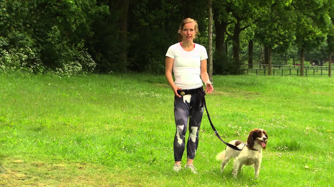 kleding Tegenhanger theater Hardlopen met de hond: opbouwen en belangrijke tips. | Weethetsnel.nl