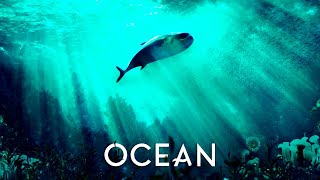 Amadea Music Productions - Our Blue Planet Cinematic Orchestral Nature Documentary