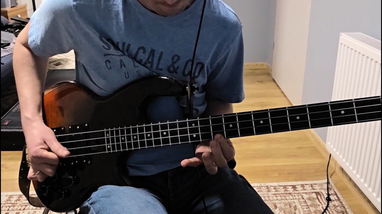 Tool - Aenima (bass cover) Wal sound, Hathor Multicoil PU and Lusithand NFP