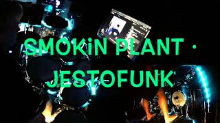 Smokin Plant · Jestofunk