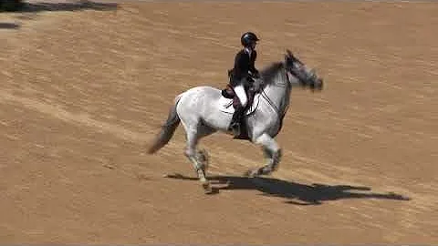 Video of AFTER EIGHT ridden by ANNE GARDNER from S...
