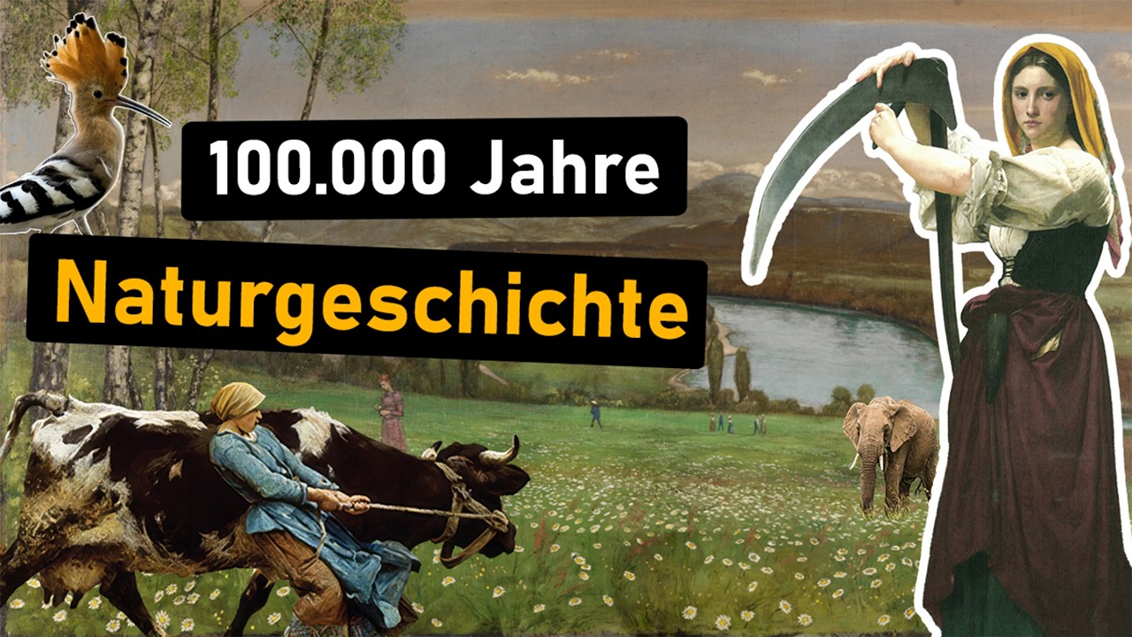 Die vergessene Geschichte der Blumenwiese